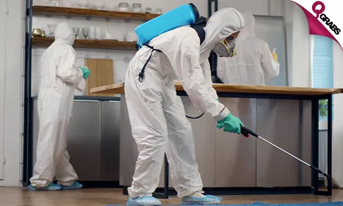 Pest Control Services!